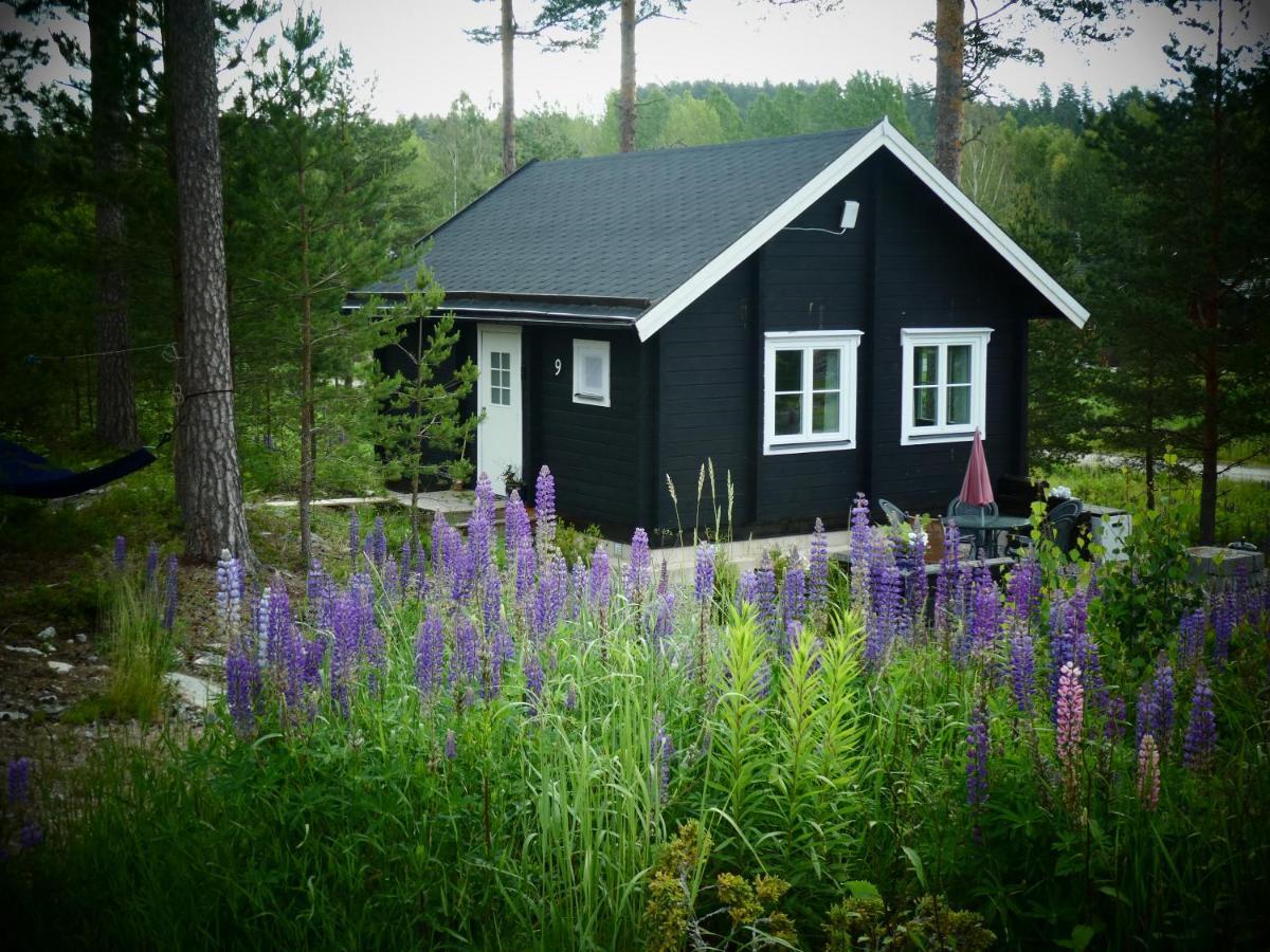ארביקה Froeya Timber Cottage מראה חיצוני תמונה